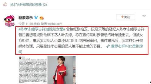 娱乐圈大佬吃瓜小说,大佬们的瓜田秘闻